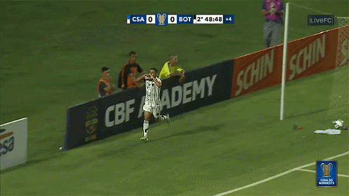 Hyped Csa Vc Botafogo GIF - Hyped Csa Vc Botafogo Waving Arms GIFs