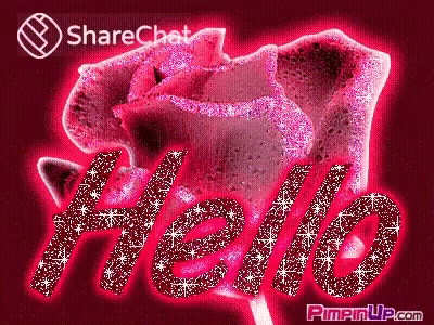 a picture of a pink rose with the word hello on it