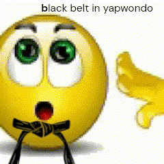 a yellow smiley face wearing a black belt in yapwondo .