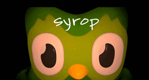 a cartoon owl with syrop written on its face