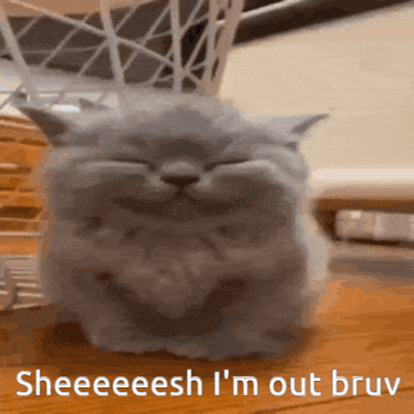 a cat with its eyes closed and the words sheeeeesh i 'm out bruv written below it