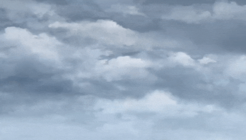 a bird flying through a cloudy sky with its wings spread