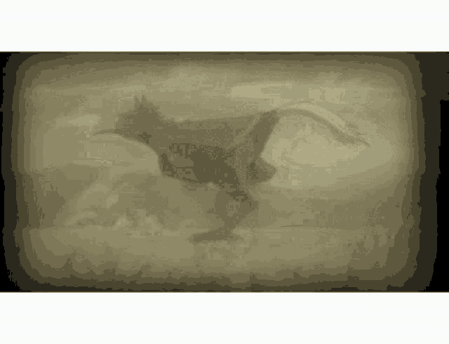 a silhouette of a bird with a long tail is running through a field .