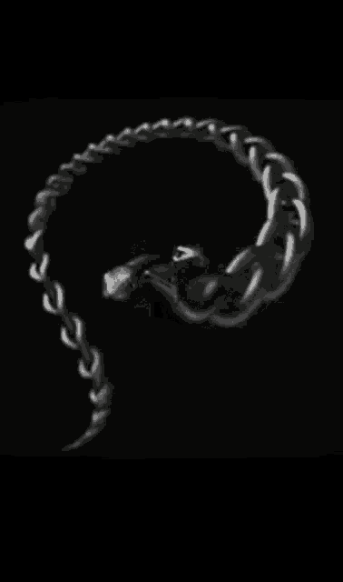 a black and white photo of a chain that looks like the letter q