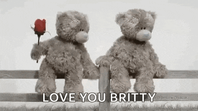 two teddy bears are sitting on a fence holding hands .