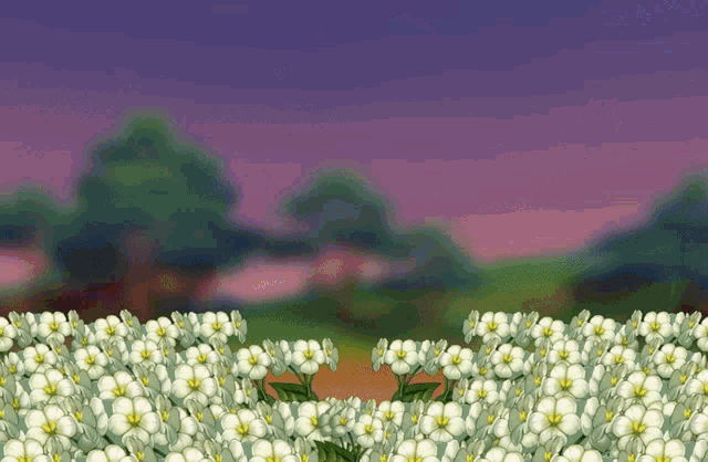 a field of white flowers with yellow centers and trees in the background