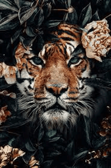 a close up of a tiger 's face surrounded by flowers and leaves .