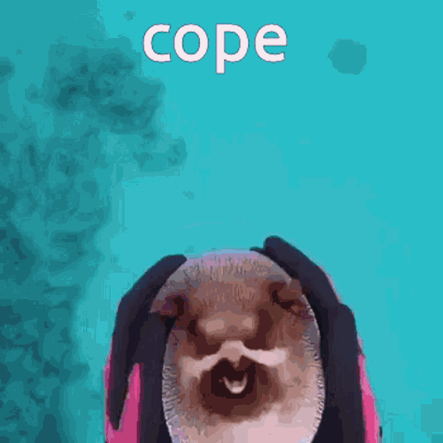 a person is holding a puffer fish in their hands with the word cope below it