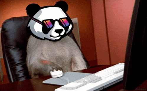 a panda bear wearing sunglasses sits at a desk in front of a computer