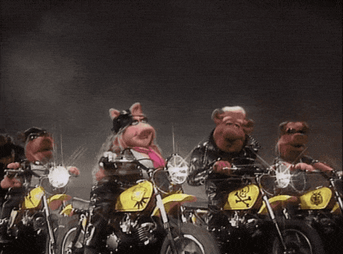 a group of pigs are riding motorcycles with a yellow one that has a cross on it