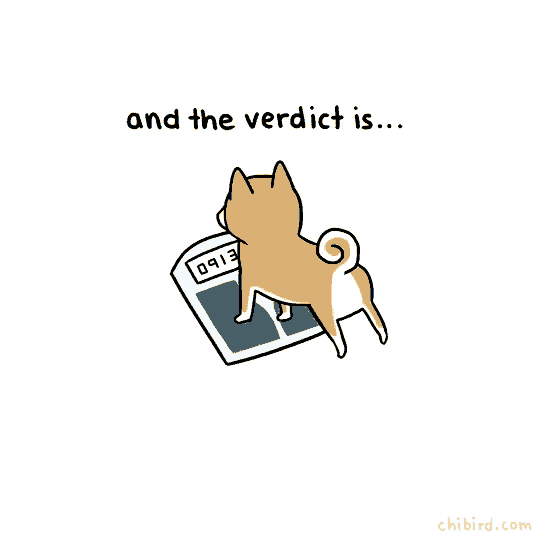 a cartoon of a dog standing on a scale with the words cute and undeniably cute