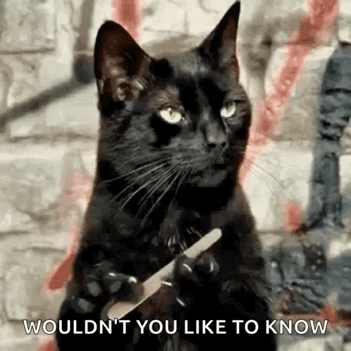 a black cat is holding a nail file in its paws and says `` would n't you like to know '' .