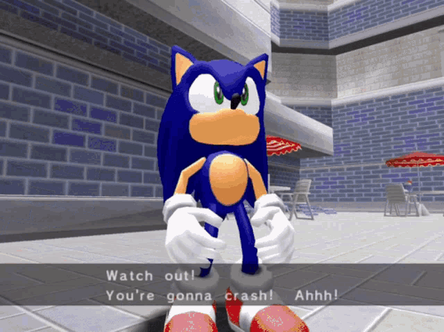 Sadx Sonic Adventure GIF - Sadx Sonic Adventure Watch Out You Are Gonna Crash Aah GIFs