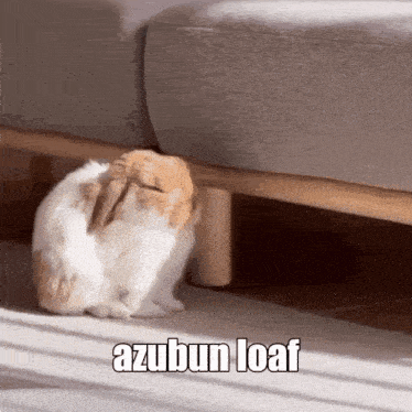 a brown and white bunny rabbit is sitting under a couch and looking at the camera .
