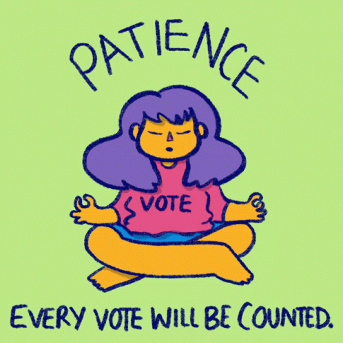 Patience Every Vote Will Be Counted GIF - Patience Every Vote Will Be Counted Count Every Vote GIFs