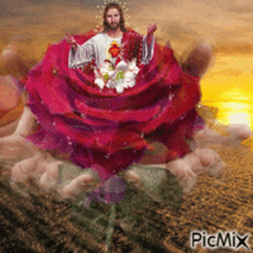 Jesus Christ Blooming Flower GIF - Jesus Christ Blooming Flower Red Rose GIFs