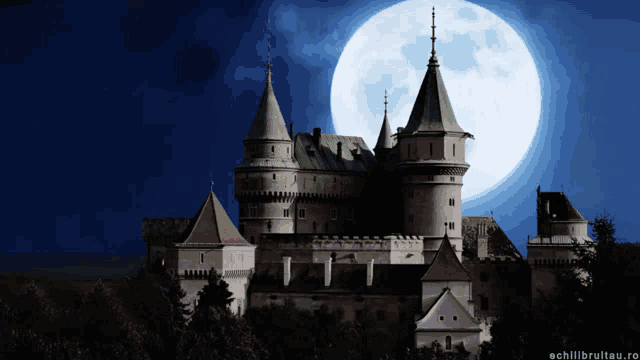 a castle with a full moon in the background and the website echilbruitau.ro