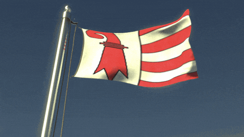 a red white and black flag with a s on it is flying in the wind