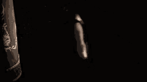Secret Blade GIF