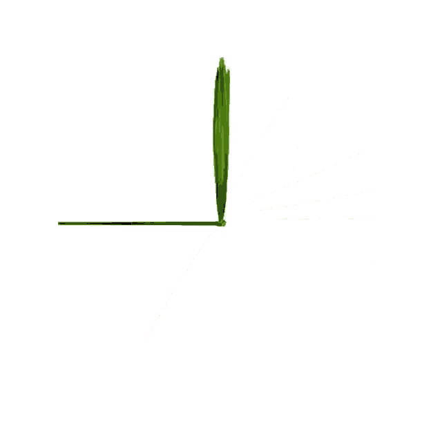 a green palm leaf with a long stem and pointed leaves
