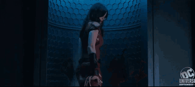 a woman in a red dress stands in front of a blue wall that says " dc universe "