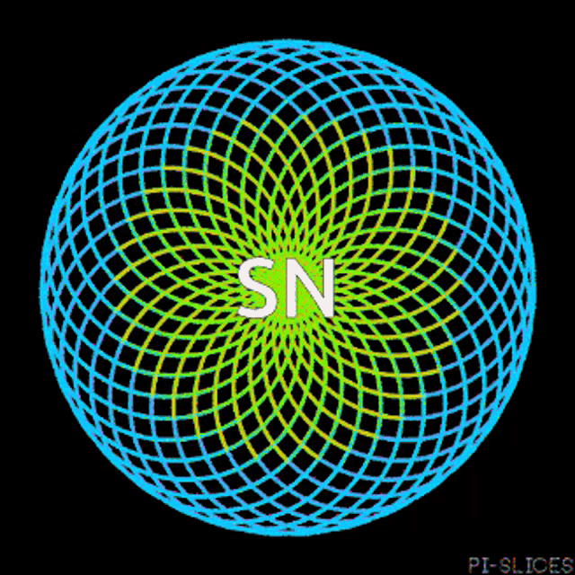 a colorful circle with the word sn in the middle