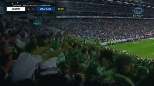 Crowd Audience GIF - Crowd Audience Fans GIFs
