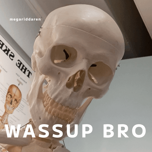 Wassup Bro Skeleton GIF