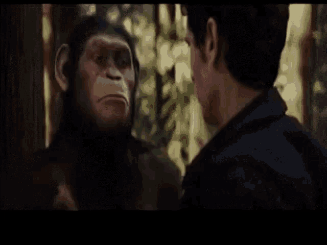 a man and a chimpanzee are looking at each other and the monkey says no te metas con mexico