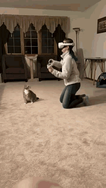 Cats Playing GIF - Cats Playing Fighting GIFs