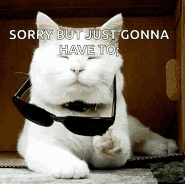 Deal With It Cat GIF