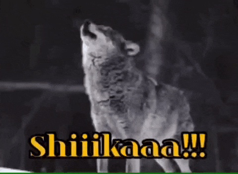 a black and white photo of a wolf howling and the words shiiikaaa
