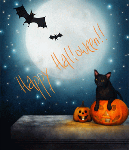 Happy Halloween Jack O Lantern GIF - Happy Halloween Jack O Lantern Black Cat GIFs