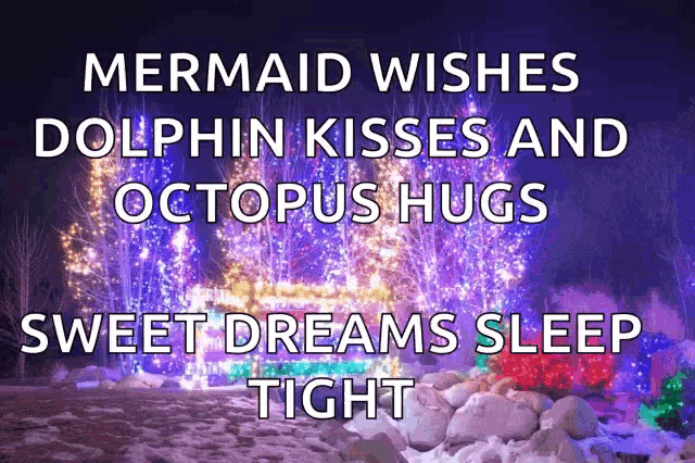 a poster that says mermaid wishes dolphin kisses and octopus hugs