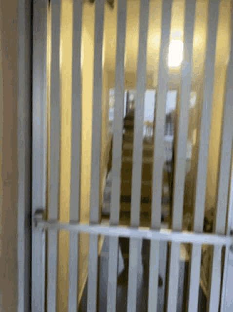 a person is standing behind a fence in a room .