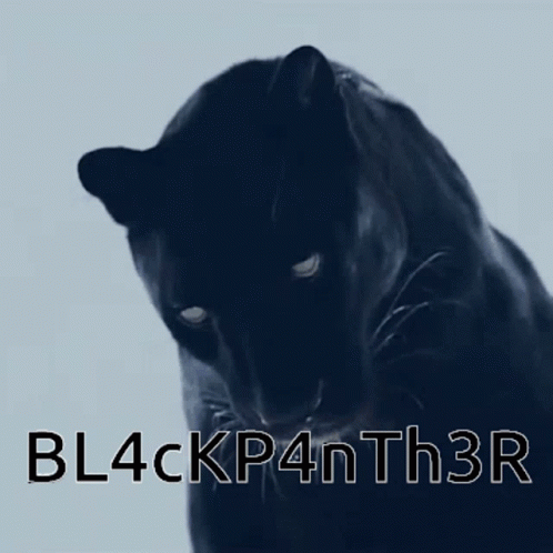 Black Panther GIF - Black Panther GIFs