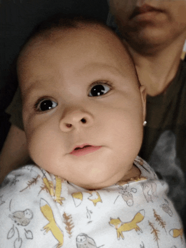 a baby in a blanket with owls and foxes on it