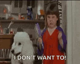 a little girl is standing next to a white poodle holding a brush and making a funny face .