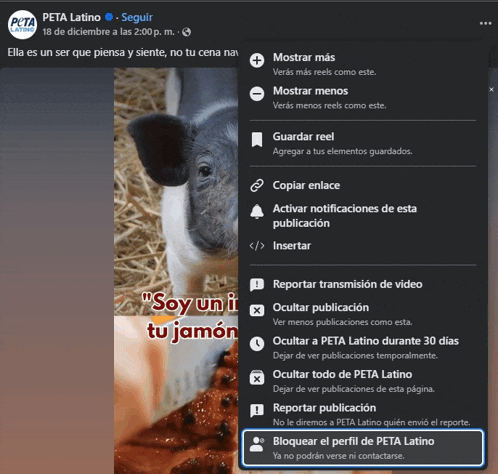 a screenshot of a facebook page that says ' peta latino ' on it