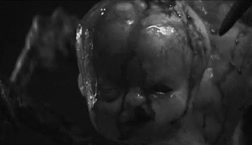 Cradle Of Fear Baby Spider GIF - Cradle Of Fear Baby Spider GIFs