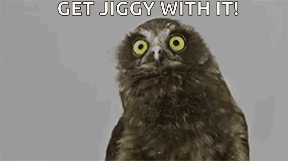 an owl with a surprised look on its face and the words `` get jiggy with it '' written below it .