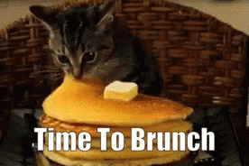 Time To Brunch Pancakes GIF