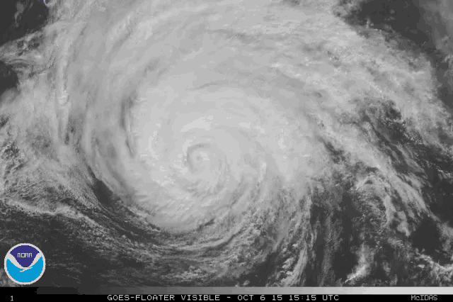 a black and white image of a hurricane taken by the nasa