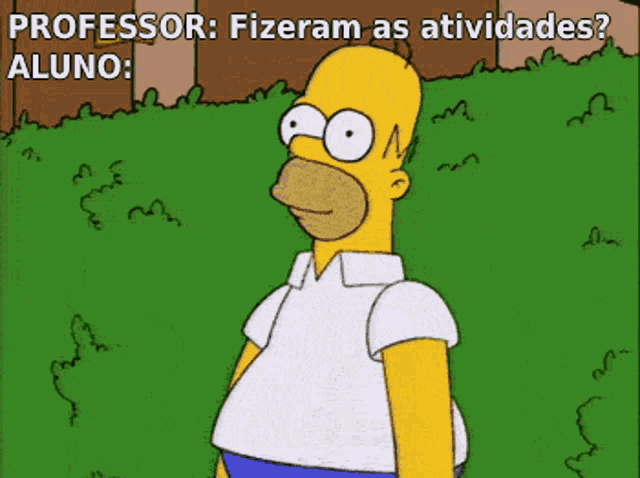 a cartoon of homer simpson with the words professor fizeram as atividades on the bottom