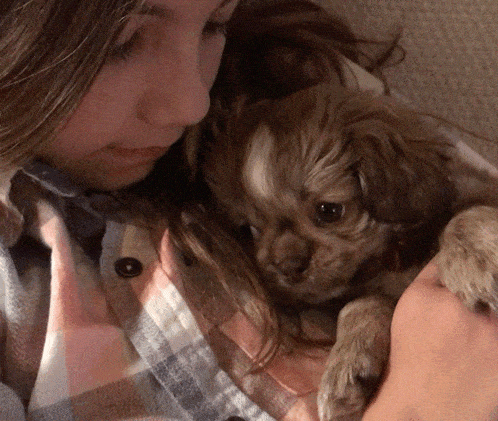 a girl holds a small brown dog in her arms