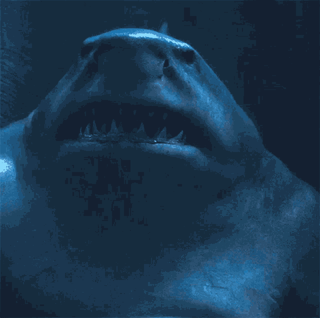 Take A Deep Breath King Shark GIF - Take A Deep Breath King Shark The Suicide Squad GIFs