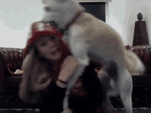 a woman wearing a red white and blue hat holds a dog on her back