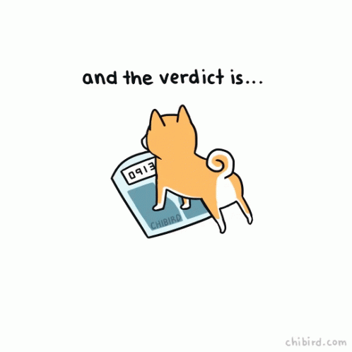 Dog And The Verdict Is GIF - Dog And The Verdict Is Undeniably Cute GIFs