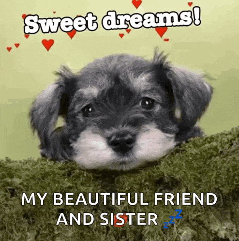 a puppy with the words sweet dreams my beautiful friend and sister written on it