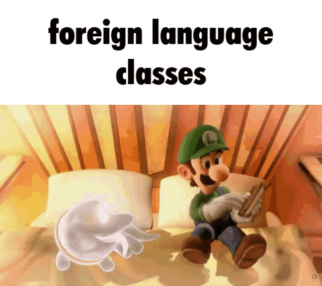 Foreign Language Classes GIF - Foreign Language Classes GIFs